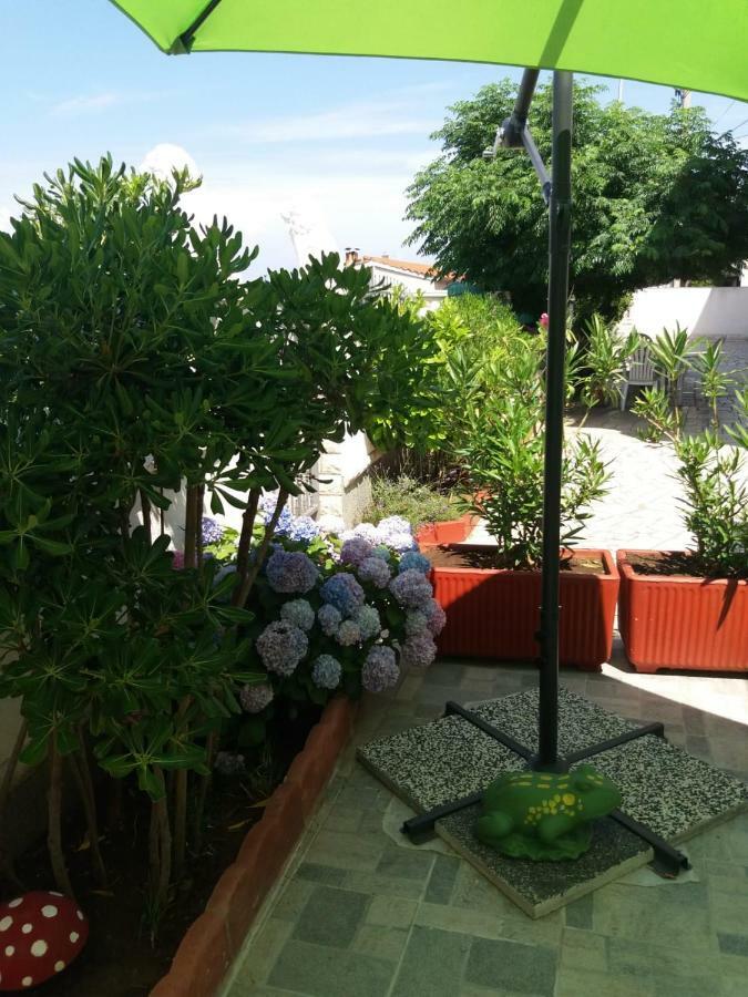 Ml Apartman سينج المظهر الخارجي الصورة