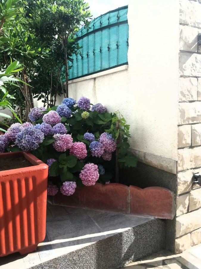Ml Apartman سينج المظهر الخارجي الصورة